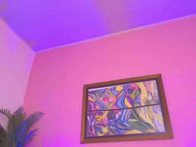 Pammela-Smith webcam