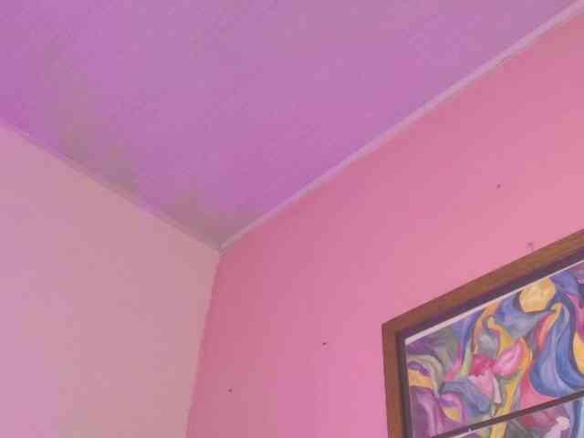 Pammela-Smith webcam