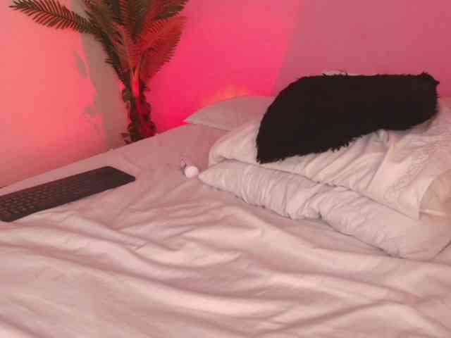 Pammela-Smith webcam