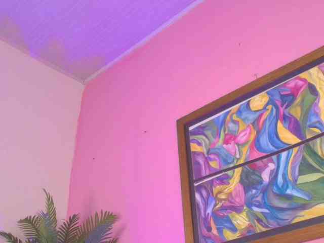 Pammela-Smith webcam