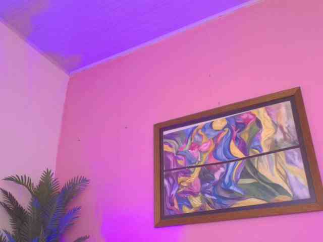 Pammela-Smith webcam