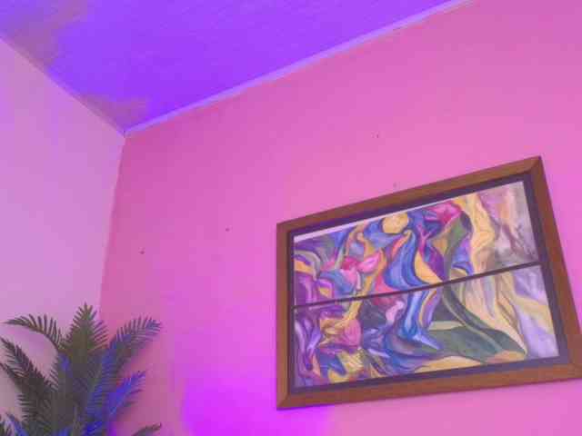 Pammela-Smith webcam