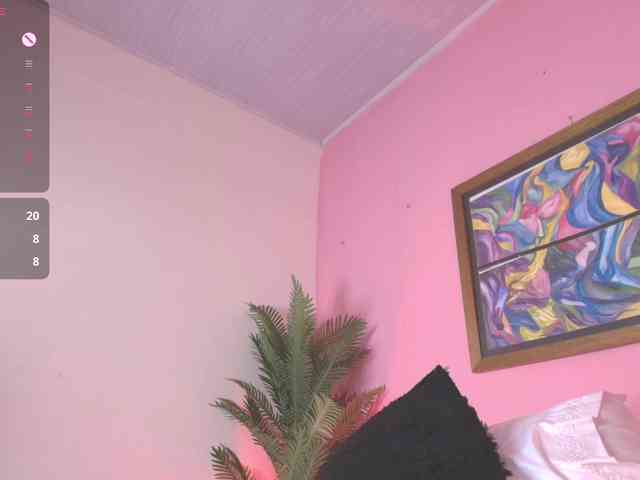 Pammela-Smith webcam