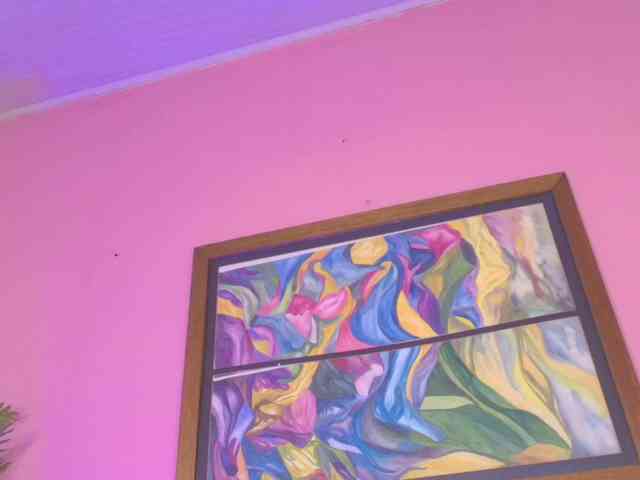 Pammela-Smith webcam