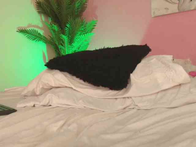 Pammela-Smith webcam