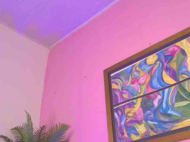 Pammela-Smith webcam