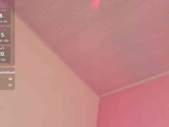 Pammela-Smith webcam