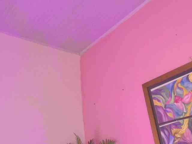 Pammela-Smith webcam