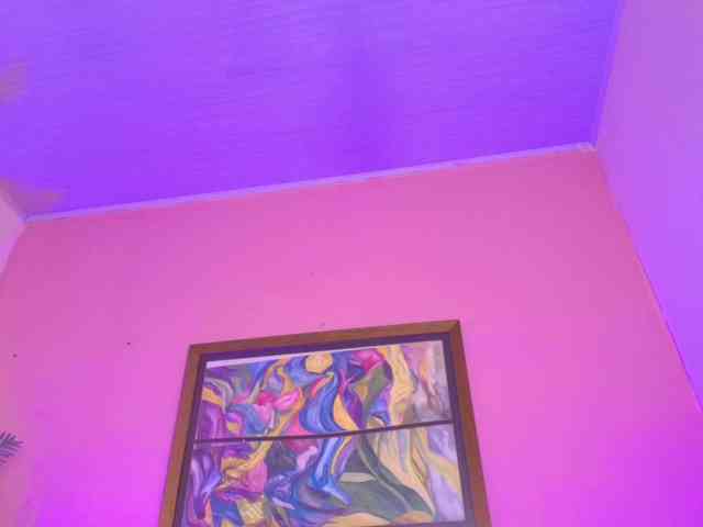 Pammela-Smith webcam