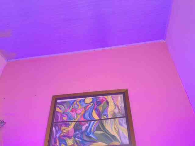 Pammela-smith Pammela-smith