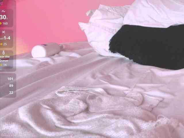 Pammela-Smith webcam