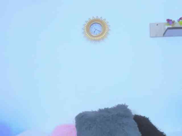 AlexaJhonson10 webcam