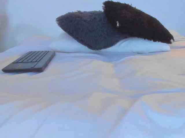 AlexaJhonson10 webcam