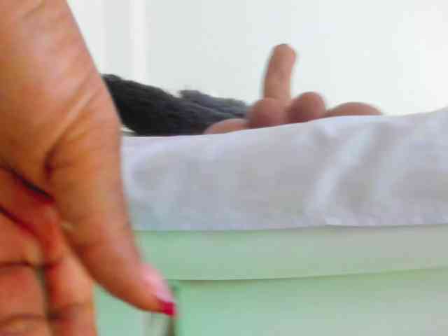 AlexaJhonson10 webcam