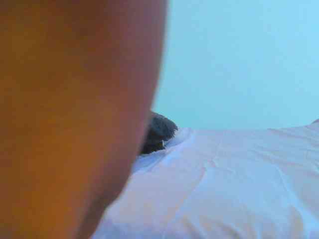 AlexaJhonson10 webcam