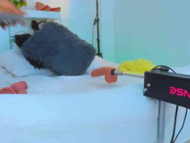 AlexaJhonson10 webcam