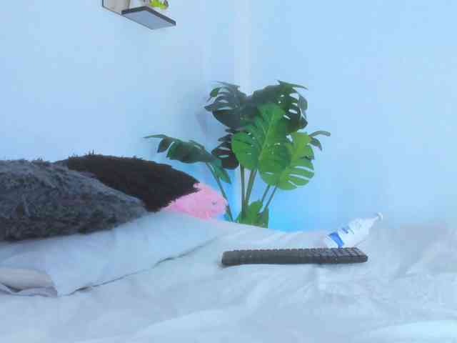 AlexaJhonson10 webcam