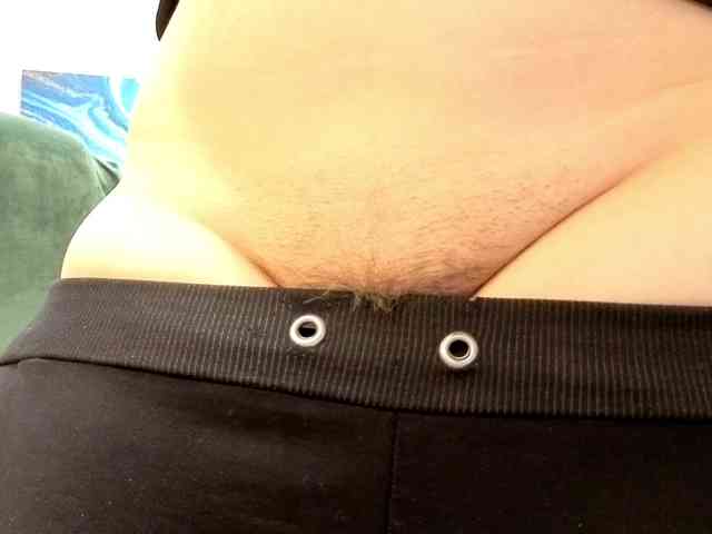 Battymoll webcam