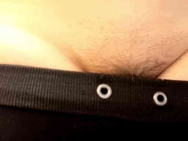 Battymoll webcam