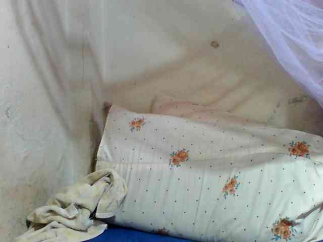 Melodious-Liz webcam