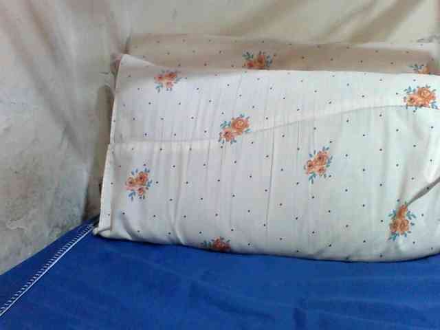 Melodious-Liz webcam