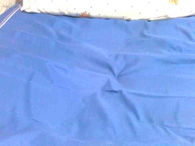 Melodious-Liz webcam