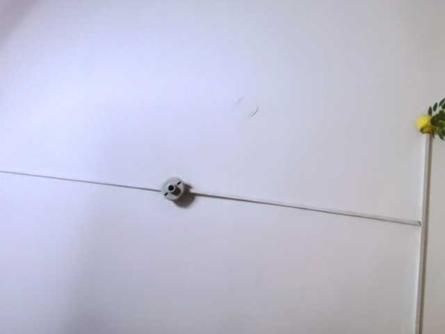 frreeya's BongaCams show and profile