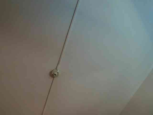 frreeya webcam