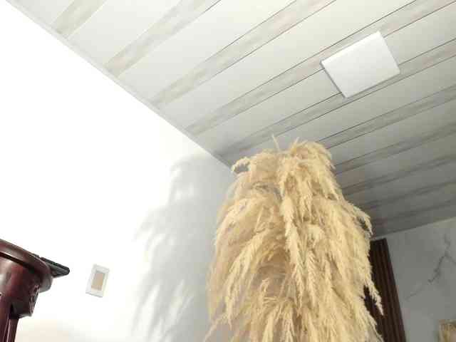 tamara-sex7 Live Webcam on BongaCams