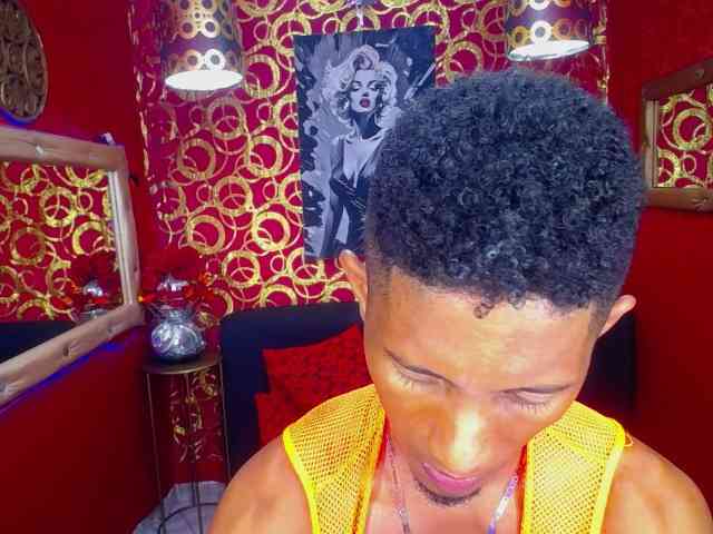 HARRISONBLACK HARRISONBLACK