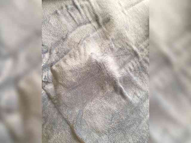 EddieTreesome EddieTreesome