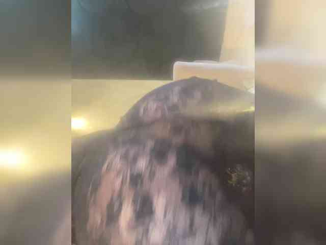 Katryn_c webcam