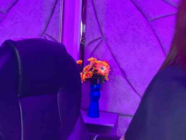 TammyBlackk TammyBlackk