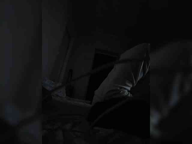 DimidoffDrocher DimidoffDrocher