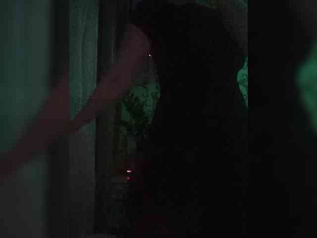 Swit777 webcam