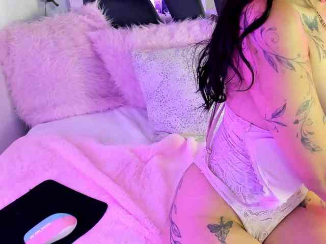 daenerys-cat webcam
