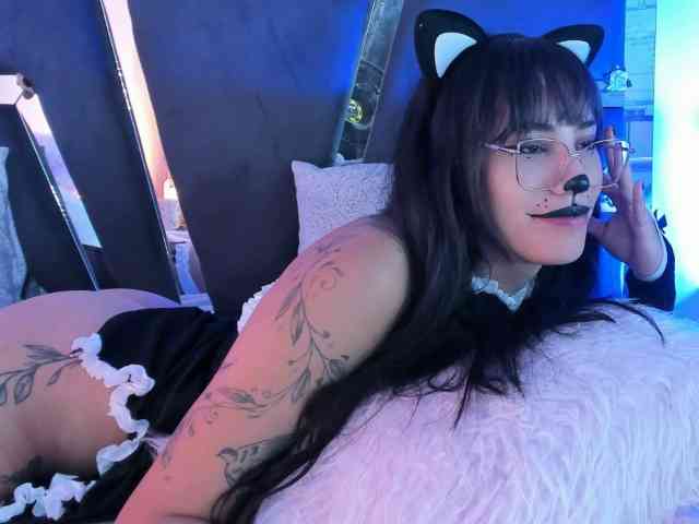 daenerys-cat webcam