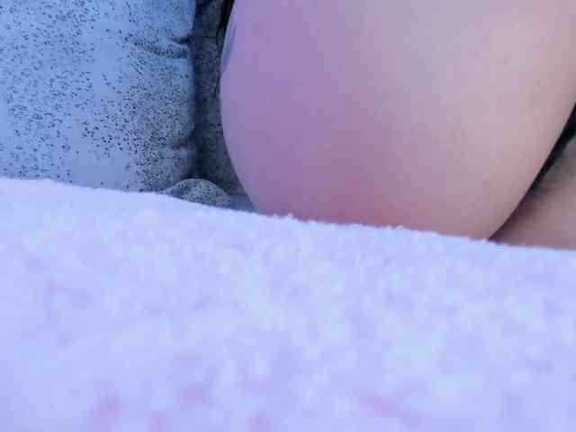 daenerys-cat webcam