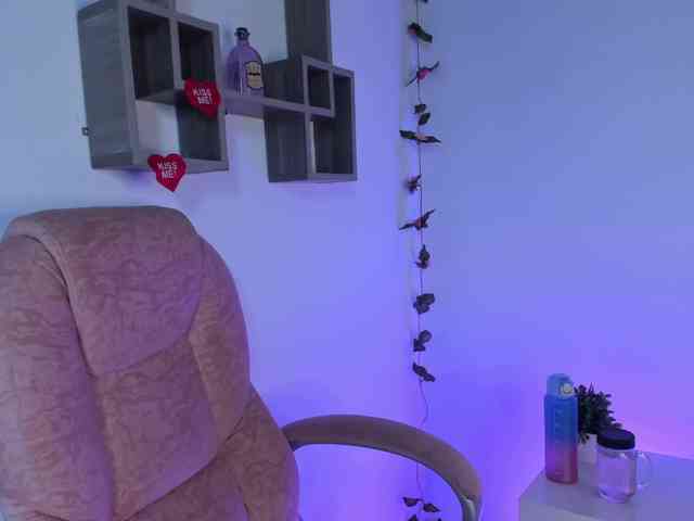daenerys-cat webcam