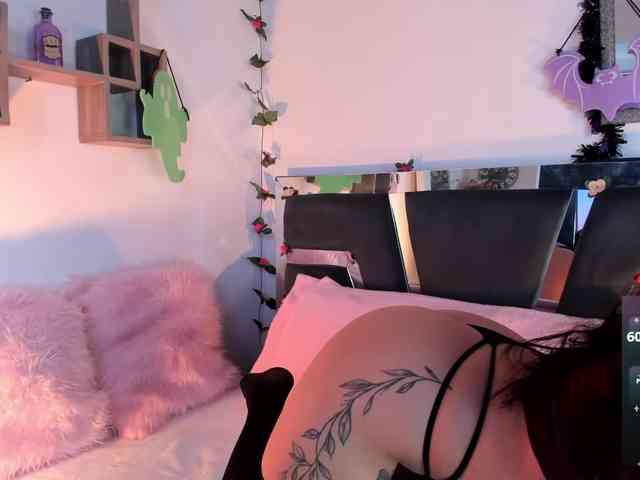 daenerys-cat webcam