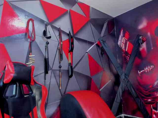 Hana-and-Zeta webcam