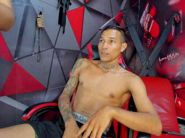 Hana-and-Zeta webcam