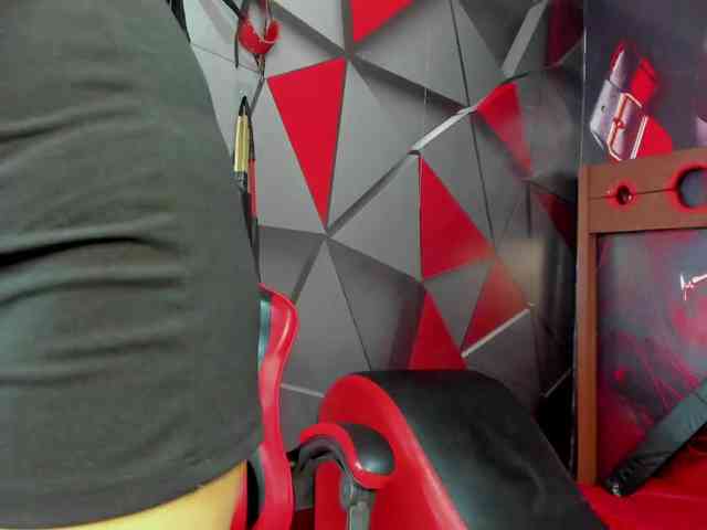 Hana-and-Zeta webcam