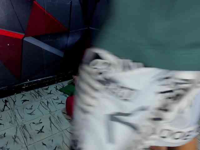 Hana-and-Zeta webcam