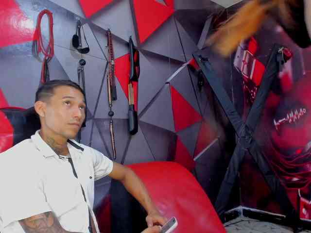 Hana-and-Zeta webcam