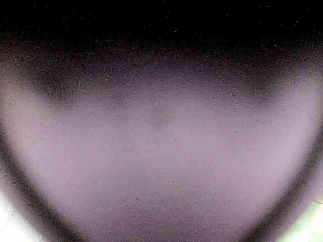 Bella099 webcam