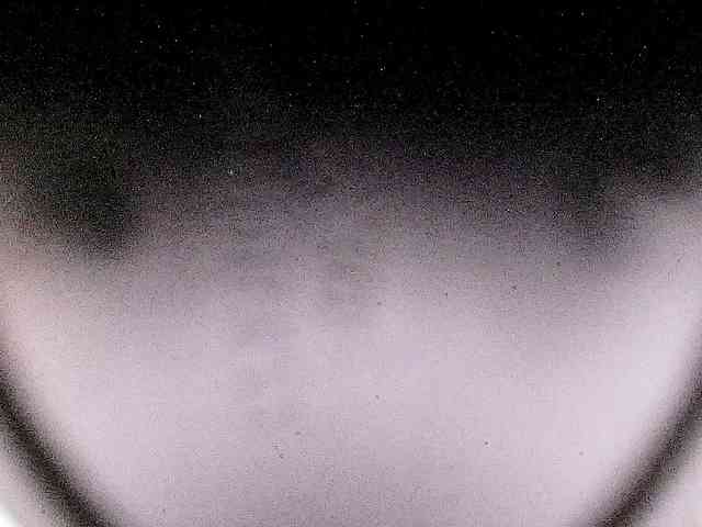 Bella099 webcam