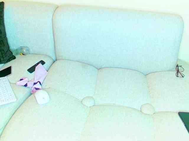 hadassah webcam