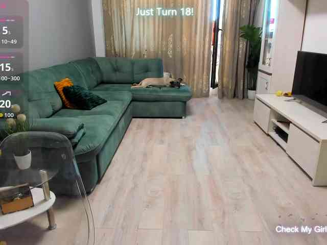 EveeEvian webcam