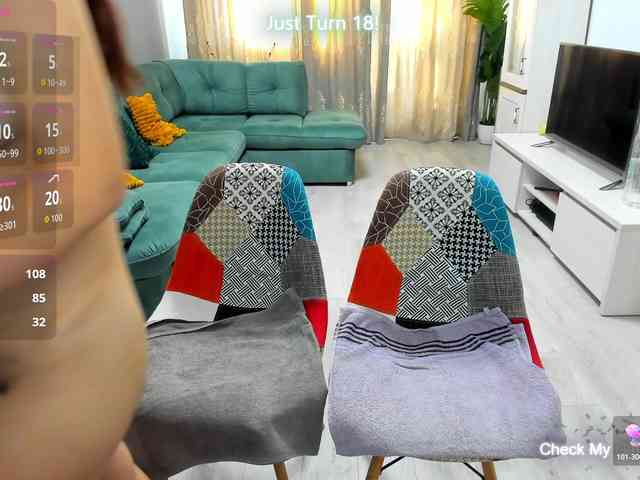 EveeEvian webcam